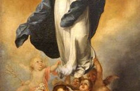 Fiori E Fantasia