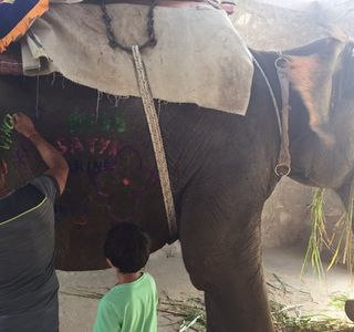 Eisacktaler Kellerei - Cantina Valle Isarco