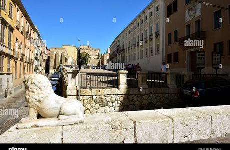 Eleonora's Castle of Sanluri