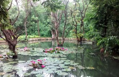 Ekant Park