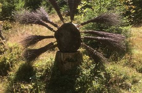 Escursione Tematica Landart