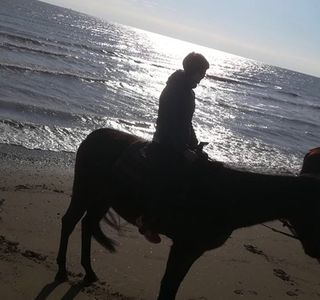 Equitrek
