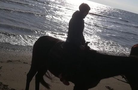 Equitrek
