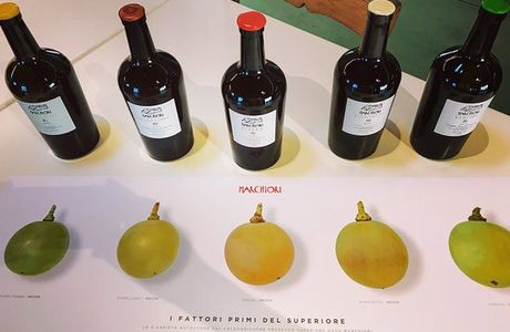 Enoteca Marchiori