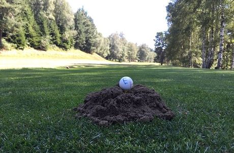 Golf Premeno
