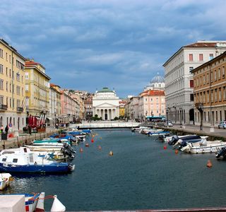 GoOpti - Trieste