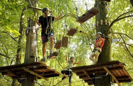 Fun Forest Adventure Park