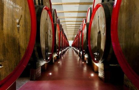 Gavioli Antica Cantina