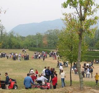 Monsereno Horses