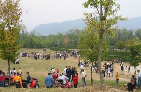 Monsereno Horses