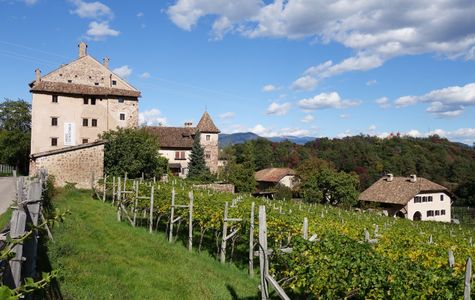 Monte Casale 1