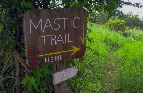 Mastic Trail
