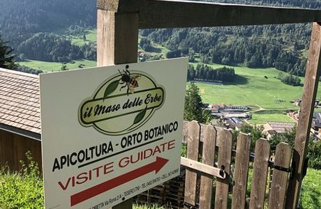 Maso Delle Erbe Tesero