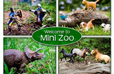 Mini Zoological Garden