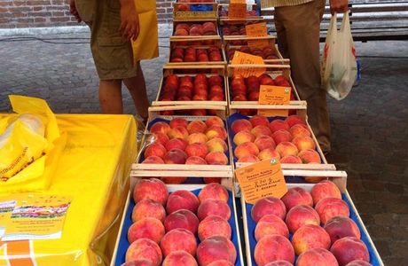 Mercato Campagna Amica