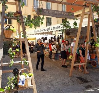 Mercato Porto Romano