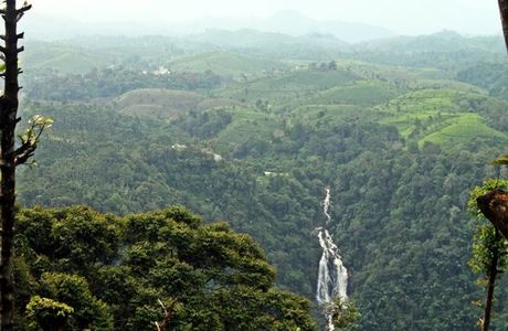 Neelimala View Point