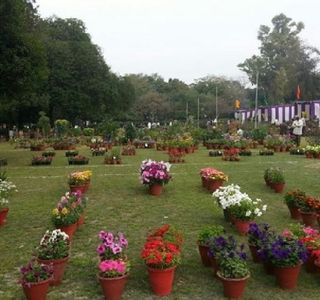 Nehru Rose Garden