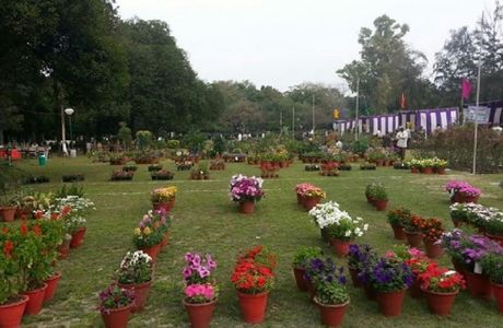 Nehru Rose Garden