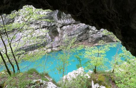 Natural Reserve Ravin of Cellina