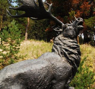 Natural Park Samarovskiy Chugas