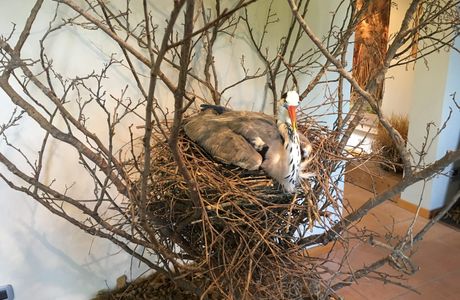 Oasi Cervara - Nature Sanctuary