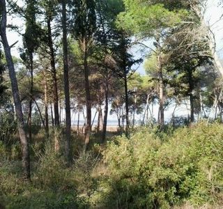 Oasi WWF della Palude La Vela