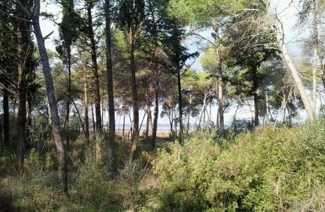 Oasi WWF della Palude La Vela