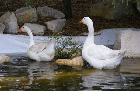 Oasi Natura Mocrei Ecosezione