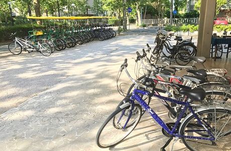 Noleggio Biciclette e Riscio Orioli