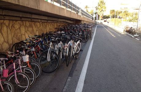 Noleggio Bici Reali