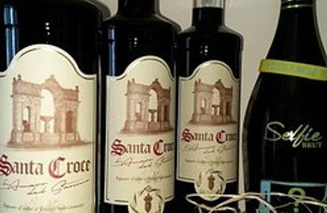 Non Solo Vino