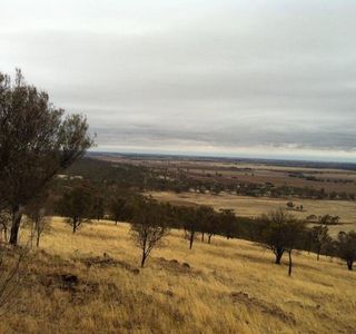 Mount Jeffcott Flora and Fauna Reserve
