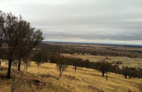 Mount Jeffcott Flora and Fauna Reserve