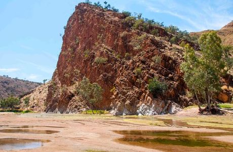 N'Dhala Gorge Nature Park