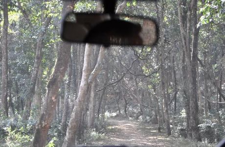 Nagarjun Forest Reserve
