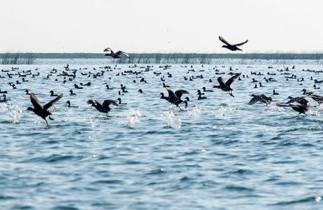 Nalabana Bird Sanctuary