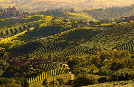 Langhe landscapes UNESCO