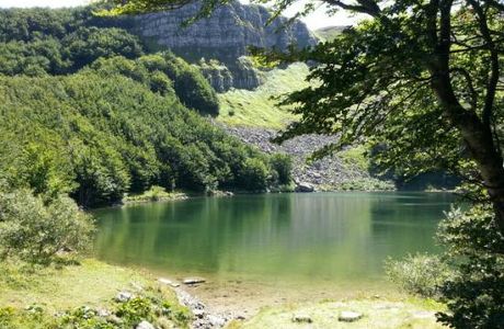 Lago Martini