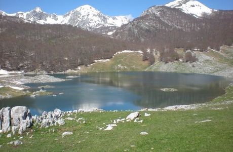 Lago Vivo