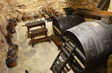 La Cantina Frrud - Museo del Vino