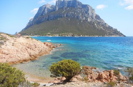L'Area Naturale Marina Protetta Tavolara - Punta Coda Cavallo