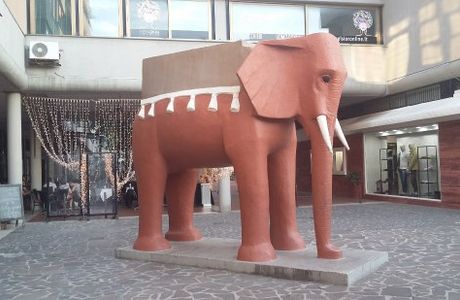 L'Elefante di Vicentino Michetti