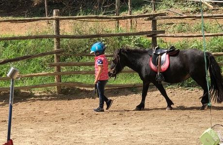 Lori Riding Centre