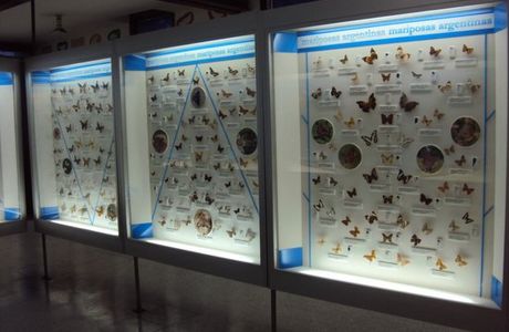 Lorenzo Scaglia Municipal Museum of Natural Sciences