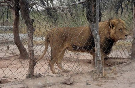 Lohi Bher Wildlife Park