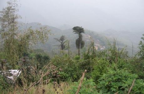 Lougwa Village