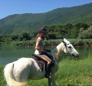 Maneggio Jolly Horse