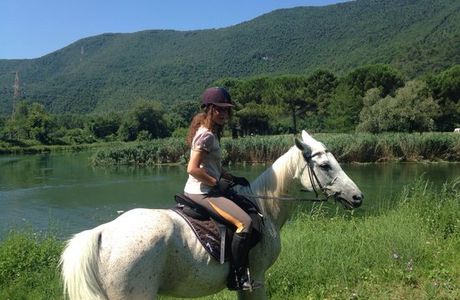 Maneggio Jolly Horse