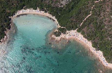 Li Piscini